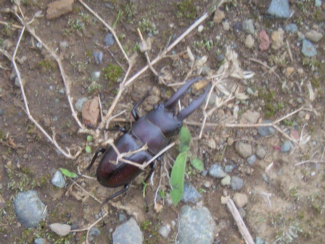 �m�R�M����