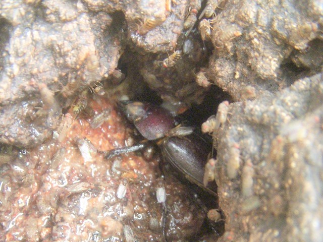 �m�R�M����