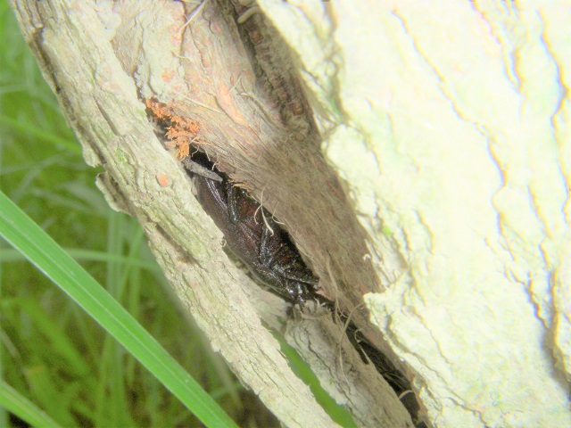 �m�R�M����