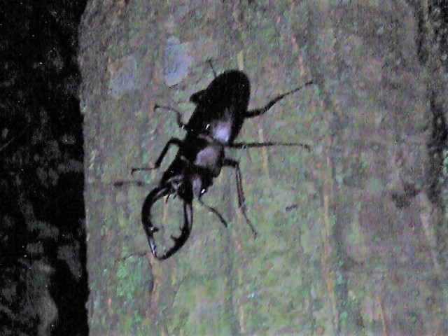 �m�R�M����