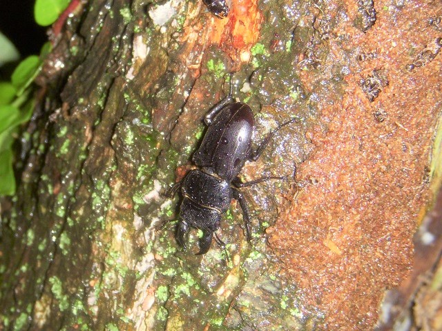 �q���^��