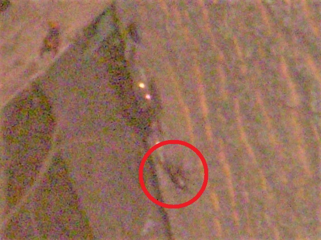 �m�R�M����