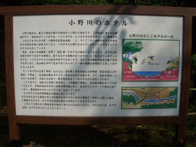 �����z�^��