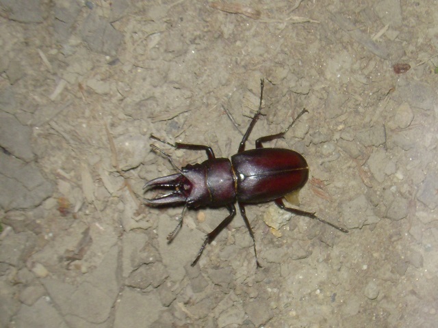 �m�R�M����