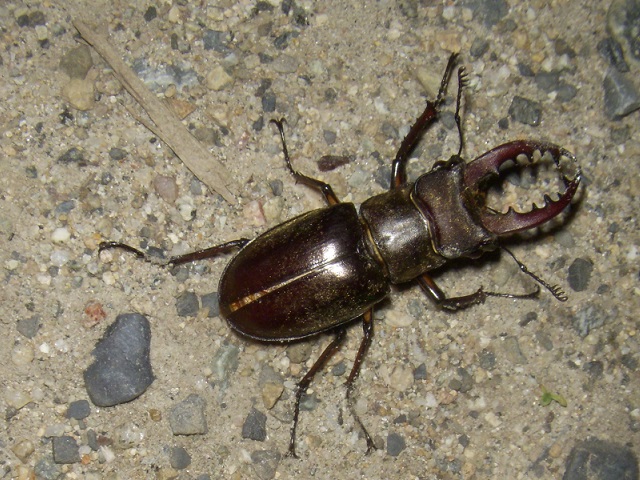 �~���}��