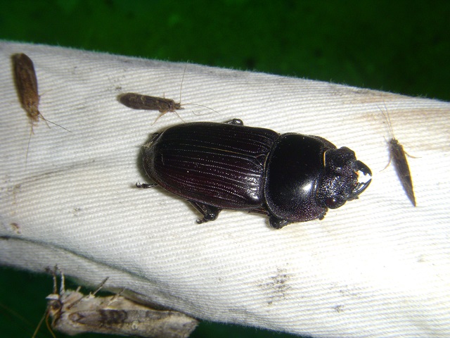 �I�I��(�����Z)