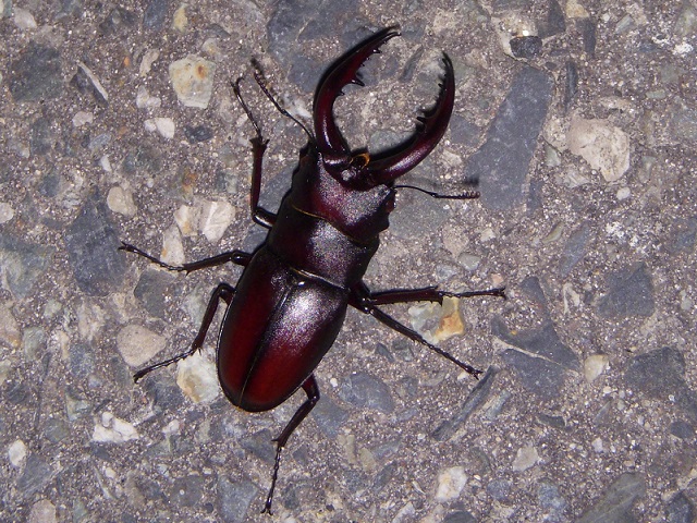 �m�R�M����