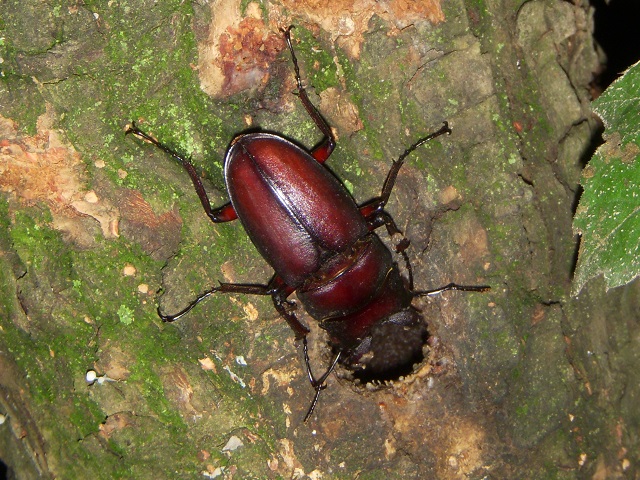 �m�R�M����