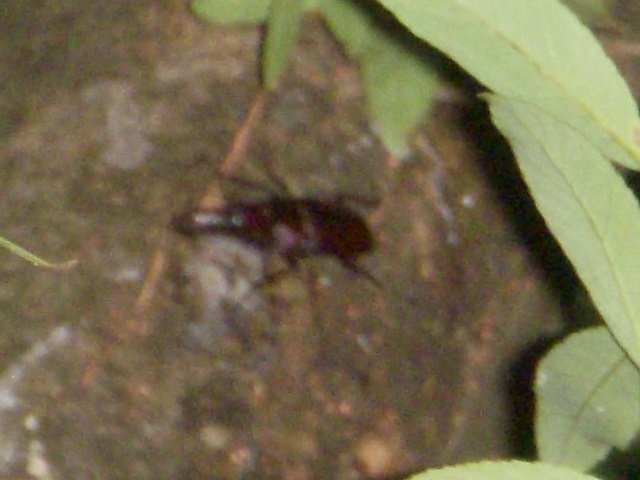 �m�R�M����