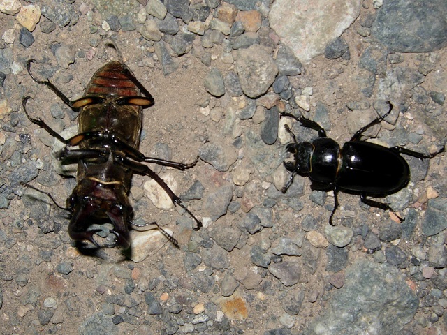 �~���}�y�A