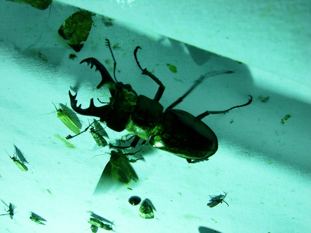 �~���}��