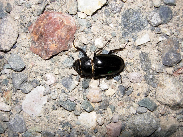 �~���}��