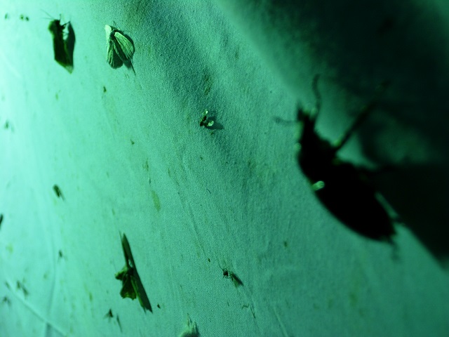 �~���}��