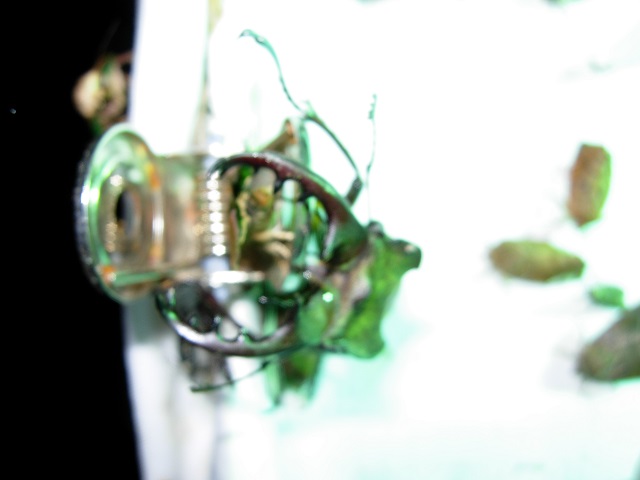 �~���}��