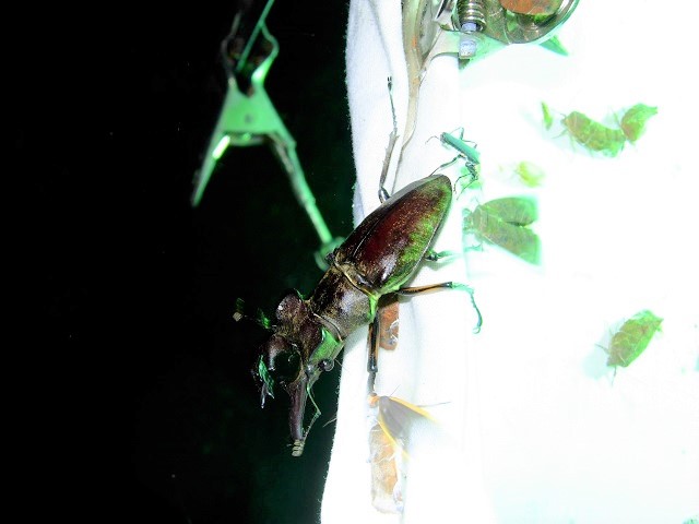 �~���}��