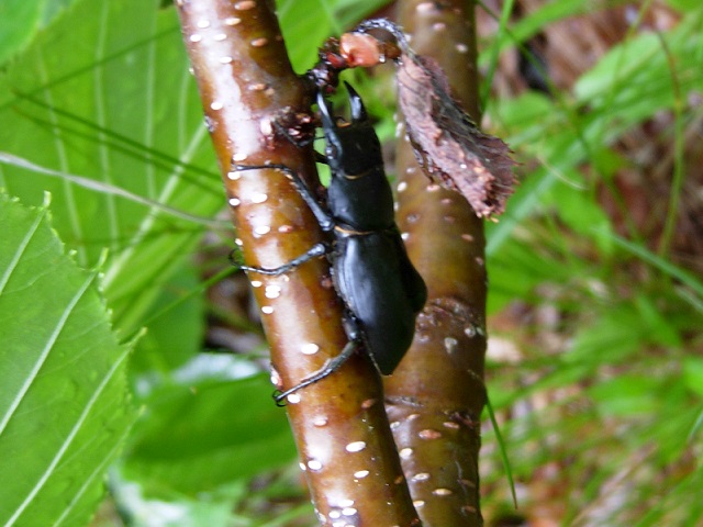 �q���I�I��