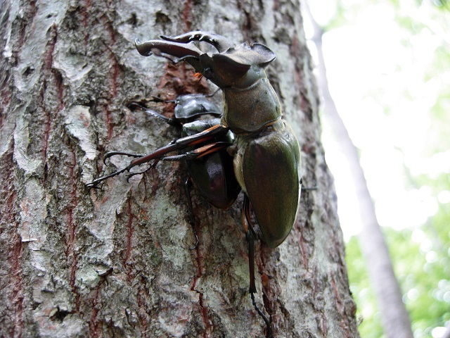 �~���}�y�A