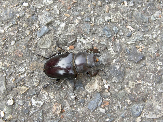 �~���}��