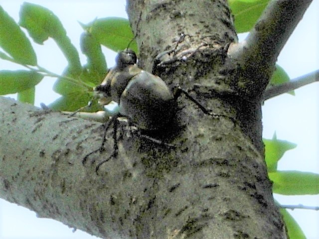 �~���}�y�A