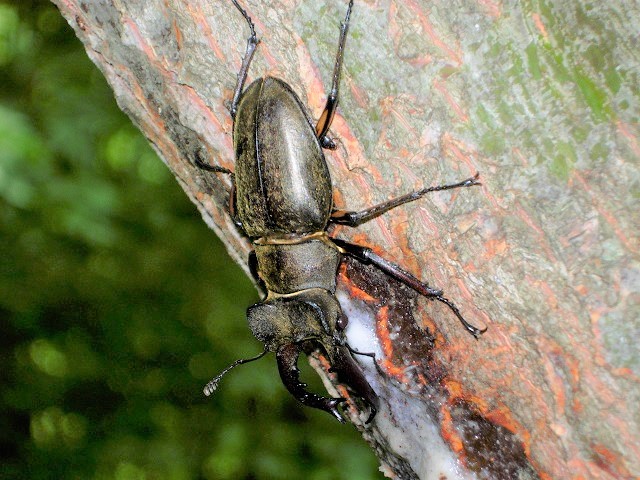 �~���}��