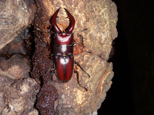 �m�R�M����