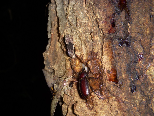 �m�R�M����