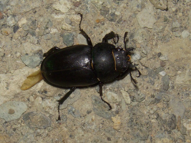 �m�R�M����