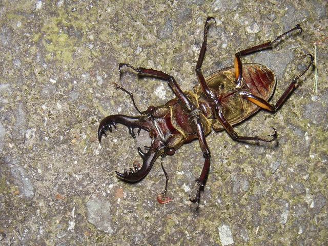 �~���}��