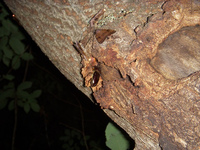 �~���}��