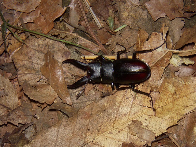 �m�R�M����