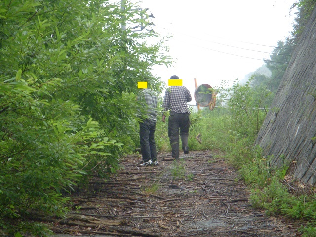 tos����Ƃ��񂳂�