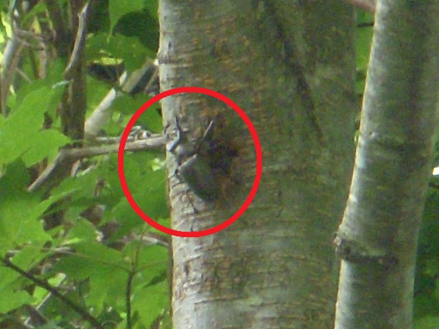 �~���}��