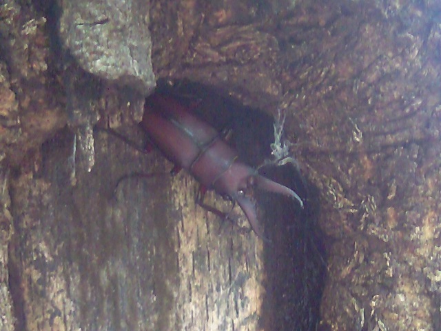 �m�R�M����