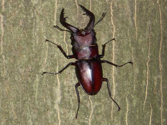 �m�R�M����