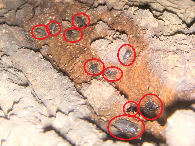 �l�u�g�~10��