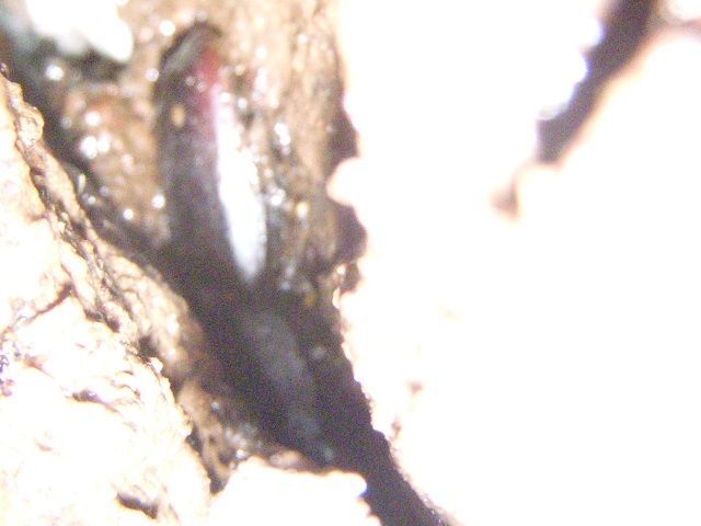 �q���^��