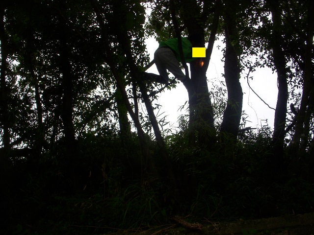 ���傤����񂳂�