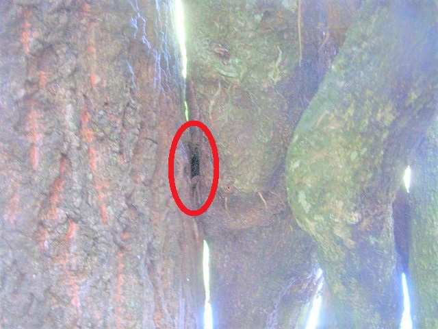 �q���^��