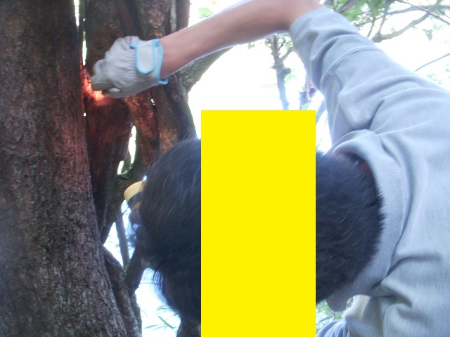 �q���^��������