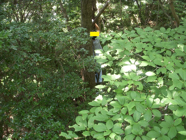 ���ꍛ�ꂷ�邵�傤����񂳂�^^;