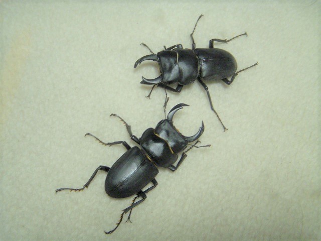 �q���I�I��53�~��x2