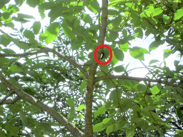 �q���I�I��