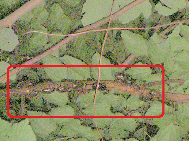 �J�u�g�����ς�^^;