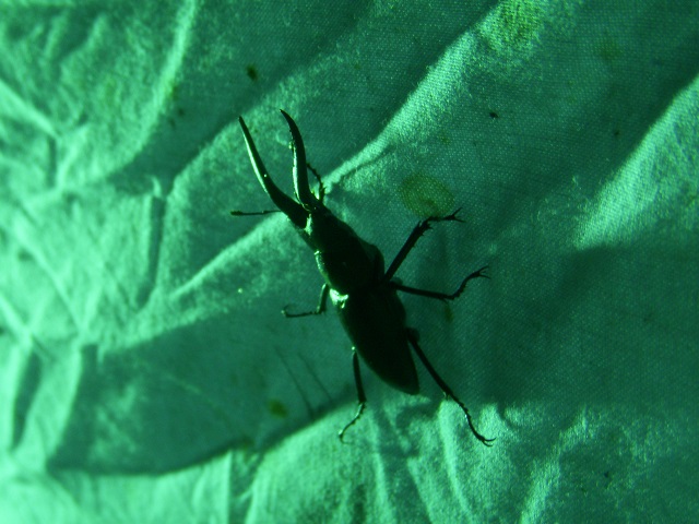 �m�R�M����