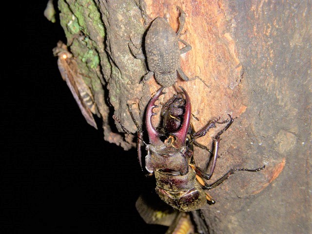 �~���}�y�A