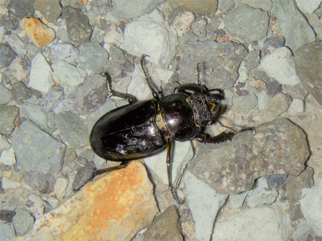 �~���}��