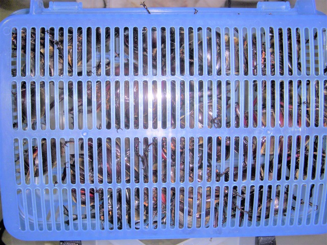 �J�u�g�������ς�