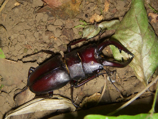 �m�R�M����