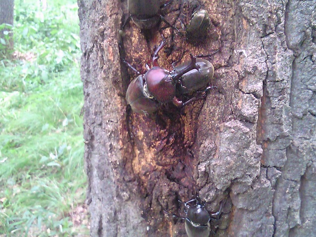 �J�u�g2�y�A