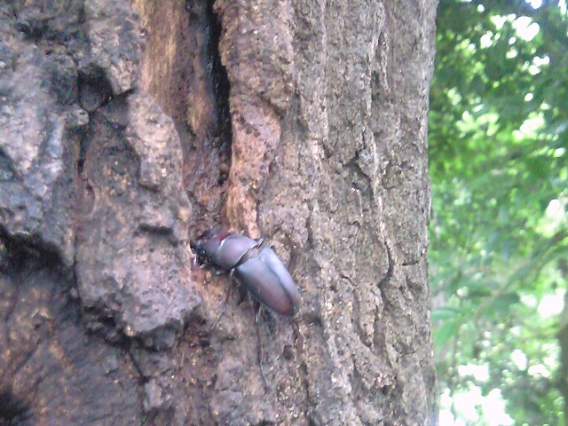 �m�R�M����